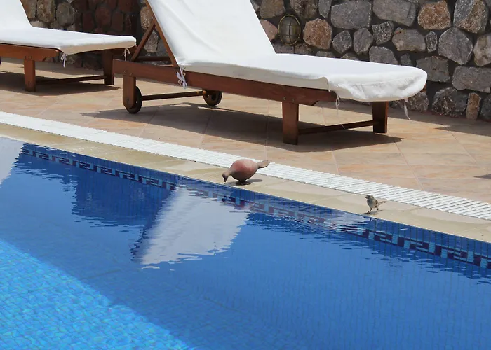 锡拉尼索斯酒店 2* 费拉